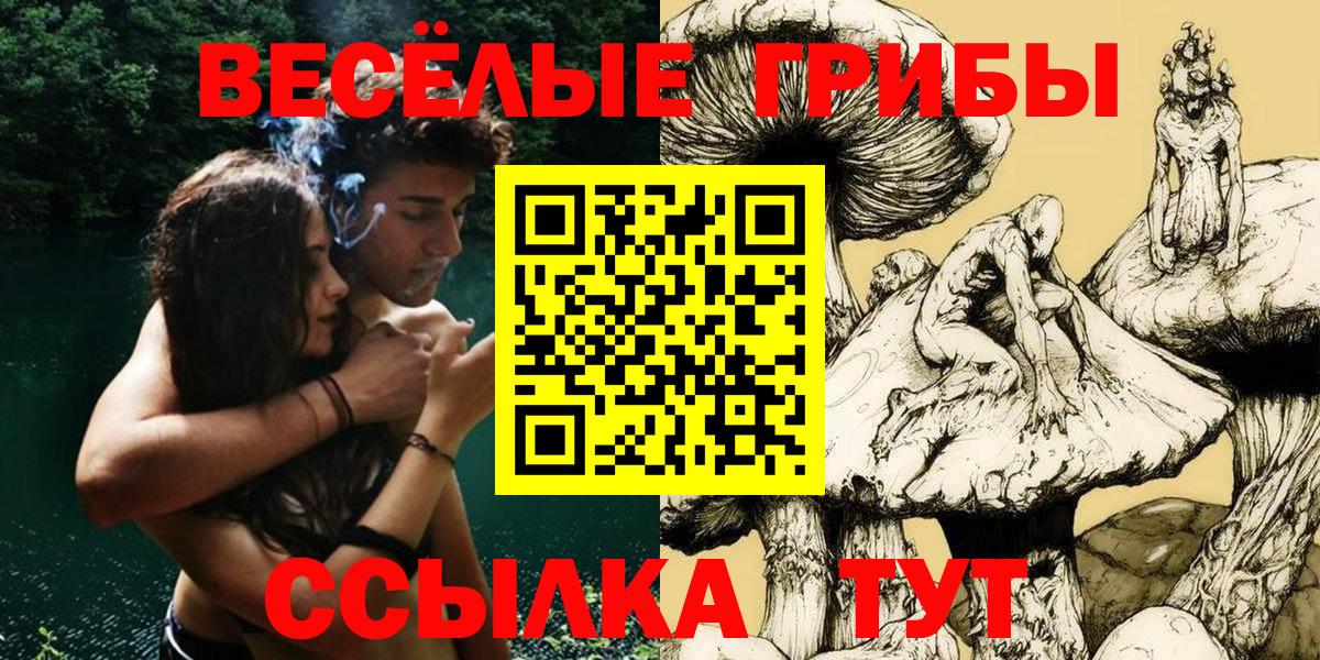 Галлюциногенные грибы GOLDEN TEACHER  Псилоцибиновые грибы Magic Shrooms  Усть-Илимск  Вход с VPN 